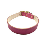 Plain Leather Dog Collar from Bonne et Filou