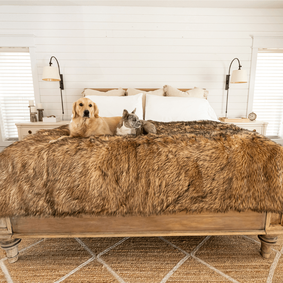 PupProtector™ Waterproof Throw Blanket - Sable Tan from Paw.com