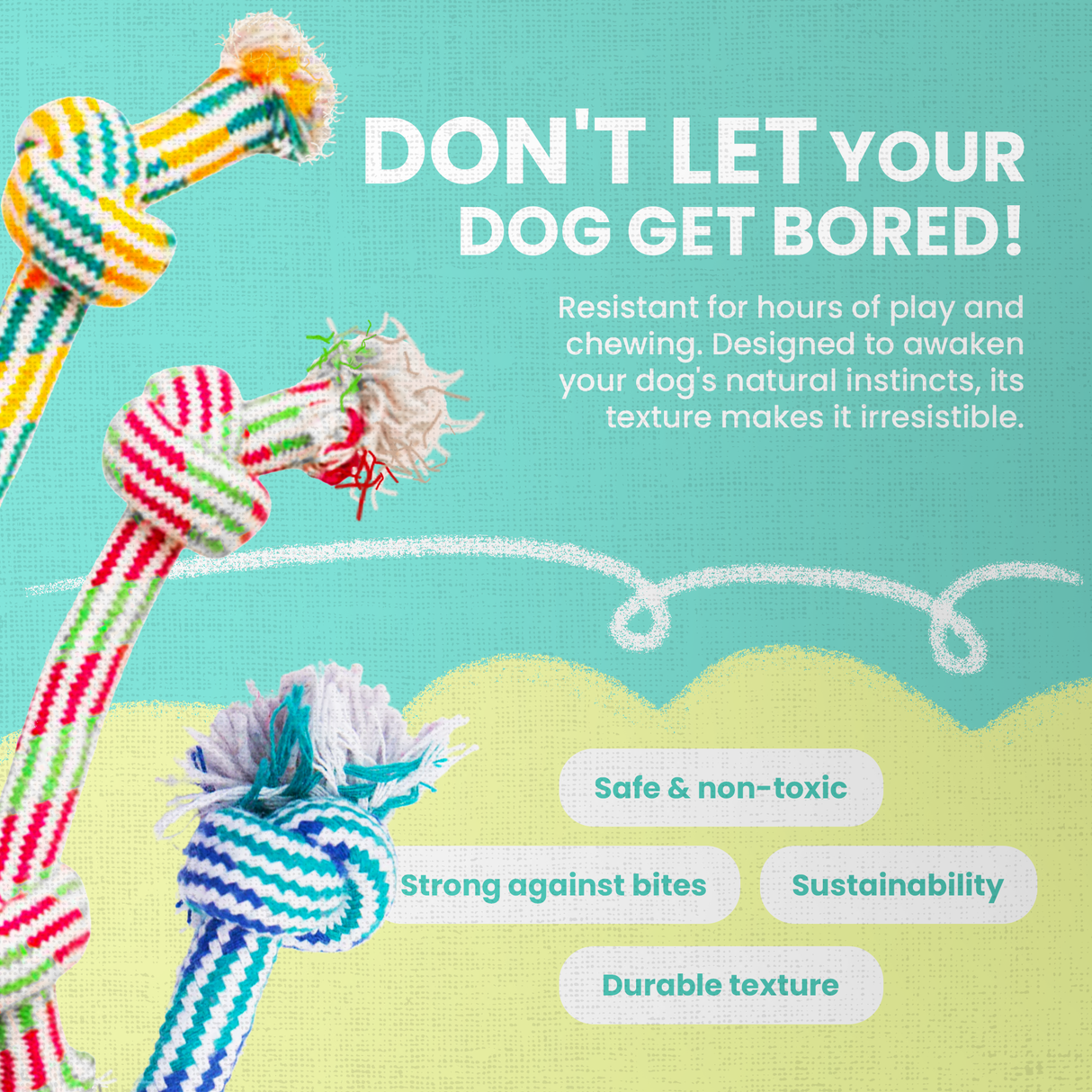 Puppy Fun from Health Extension