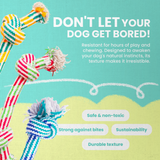 Puppy Fun from Health Extension