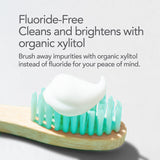 Fluoride-Free Organic & Natural Hydroxyapatite Toothpaste from ORL