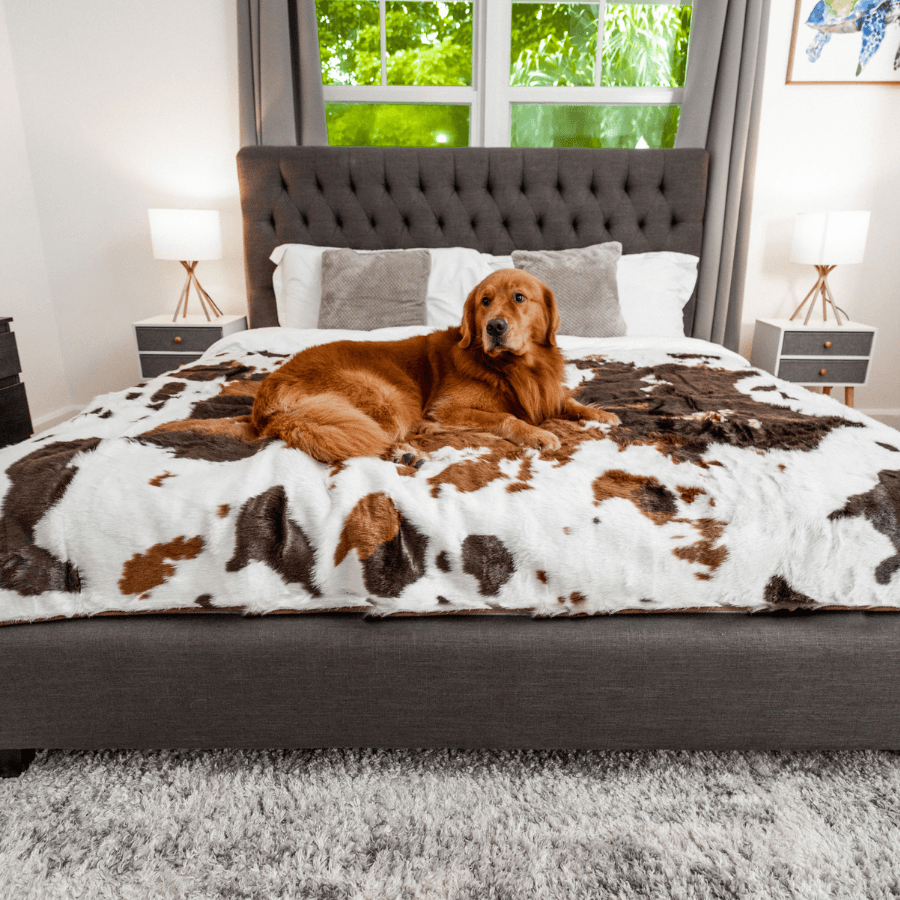 PupProtector™ Waterproof Throw Blanket - Brown Faux Cowhide from Paw.com
