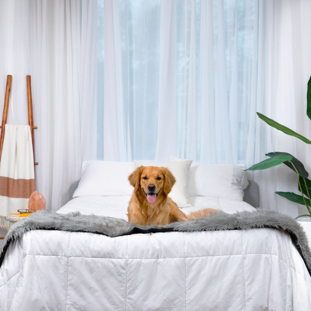 PupProtector™ Waterproof Bed Runner - Charcoal Grey from Paw.com