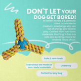 Fling 'N Fun from Health Extension