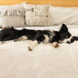 PupProtector™ Waterproof Throw Blanket - Polar White from Paw.com