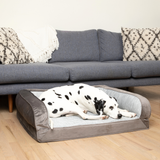 PupChill™ Cooling Bolster Dog Bed from Paw.com