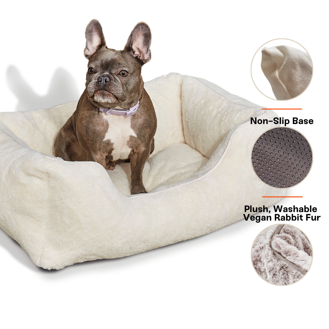 The Sammy Dog Bed from FÜZI