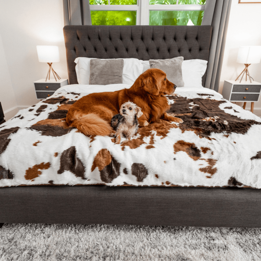 PupProtector™ Waterproof Throw Blanket - Brown Faux Cowhide from Paw.com