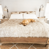 PupProtector™ Waterproof Throw Blanket - White with Brown Accents from Paw.com