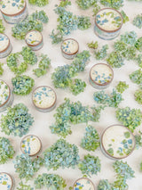 BY THE SEA Hydrangea Sea Salt Candle from Ash & Rose