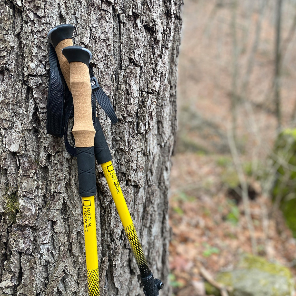 National Geographic Carbon Trekking Poles Set from Explore Scientific