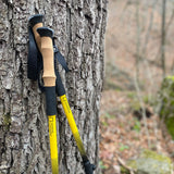National Geographic Carbon Trekking Poles Set from Explore Scientific