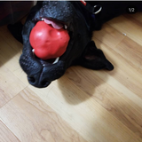 Asteroid Ultra Durable Rubber Chew Toy From SodaPup
