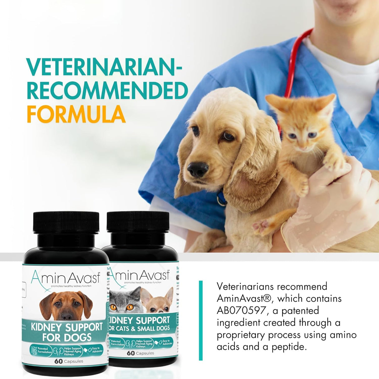 AminAvast Kidney Support for Dogs (60 capsules) from HardyPaw