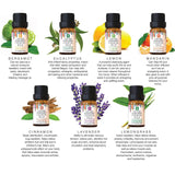14 Pack of 100% Pure Essential Aromatherapy Oils from Pursonic
