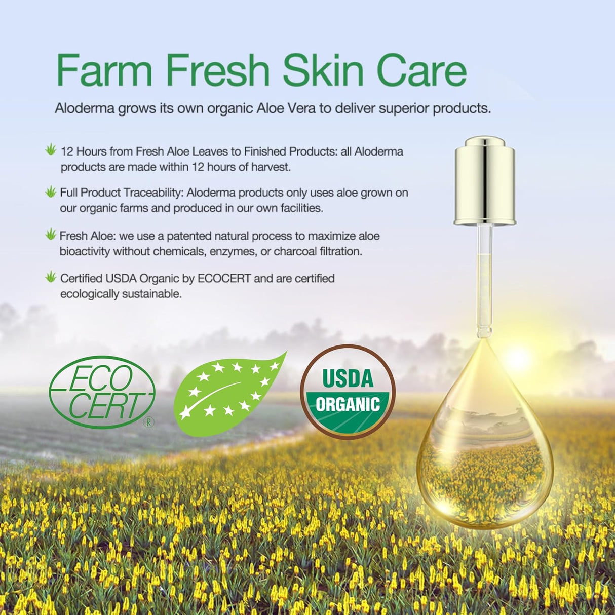 Aloe Brightening Skin Cream from ALODERMA