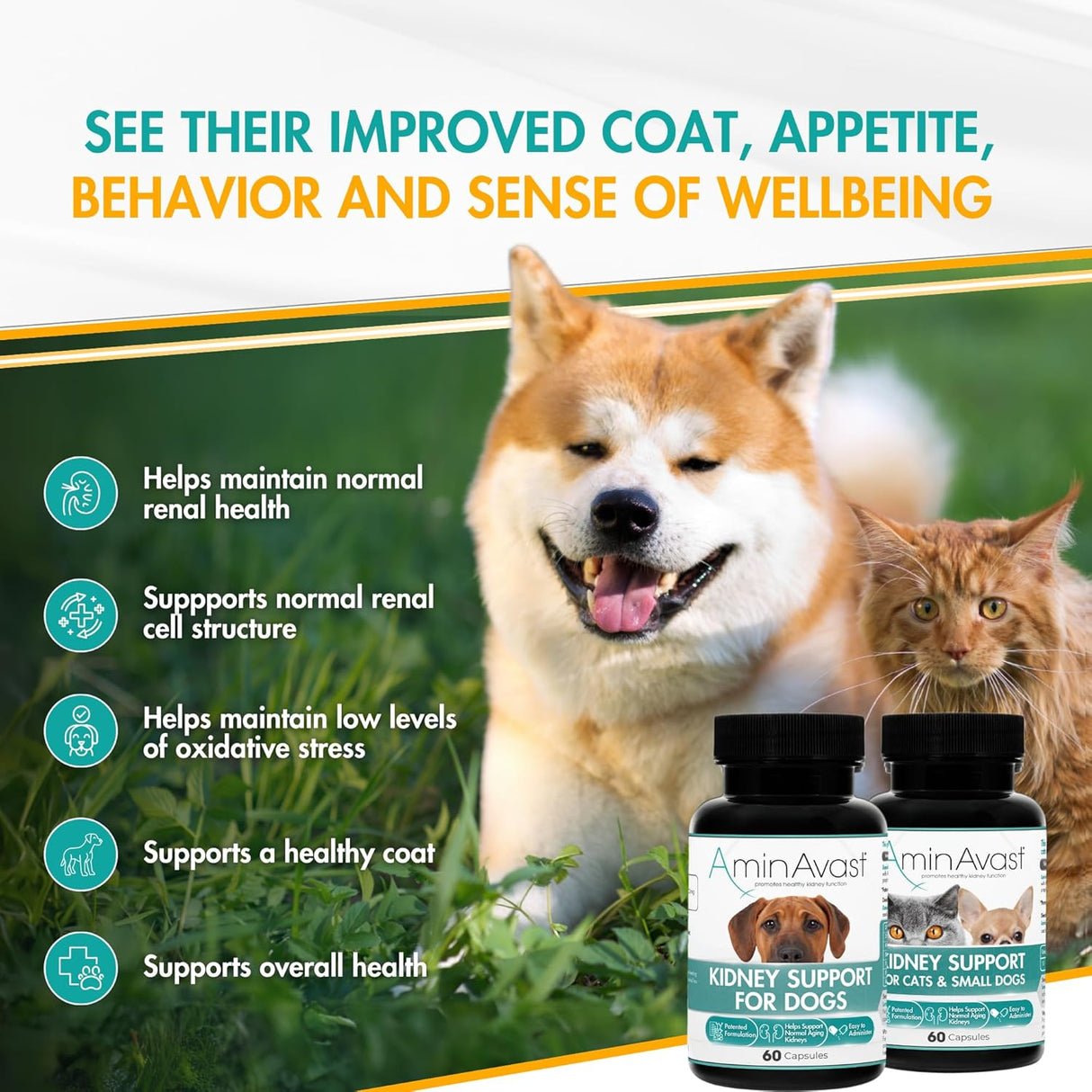 AminAvast Kidney Support for Dogs (60 capsules) from HardyPaw