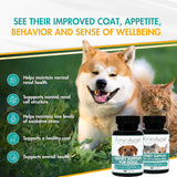 AminAvast Kidney Support for Dogs (60 capsules) from HardyPaw
