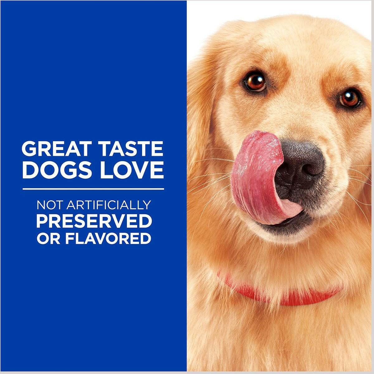 Hill's Natural Soft Savories Dog Treats (8 oz) from HardyPaw