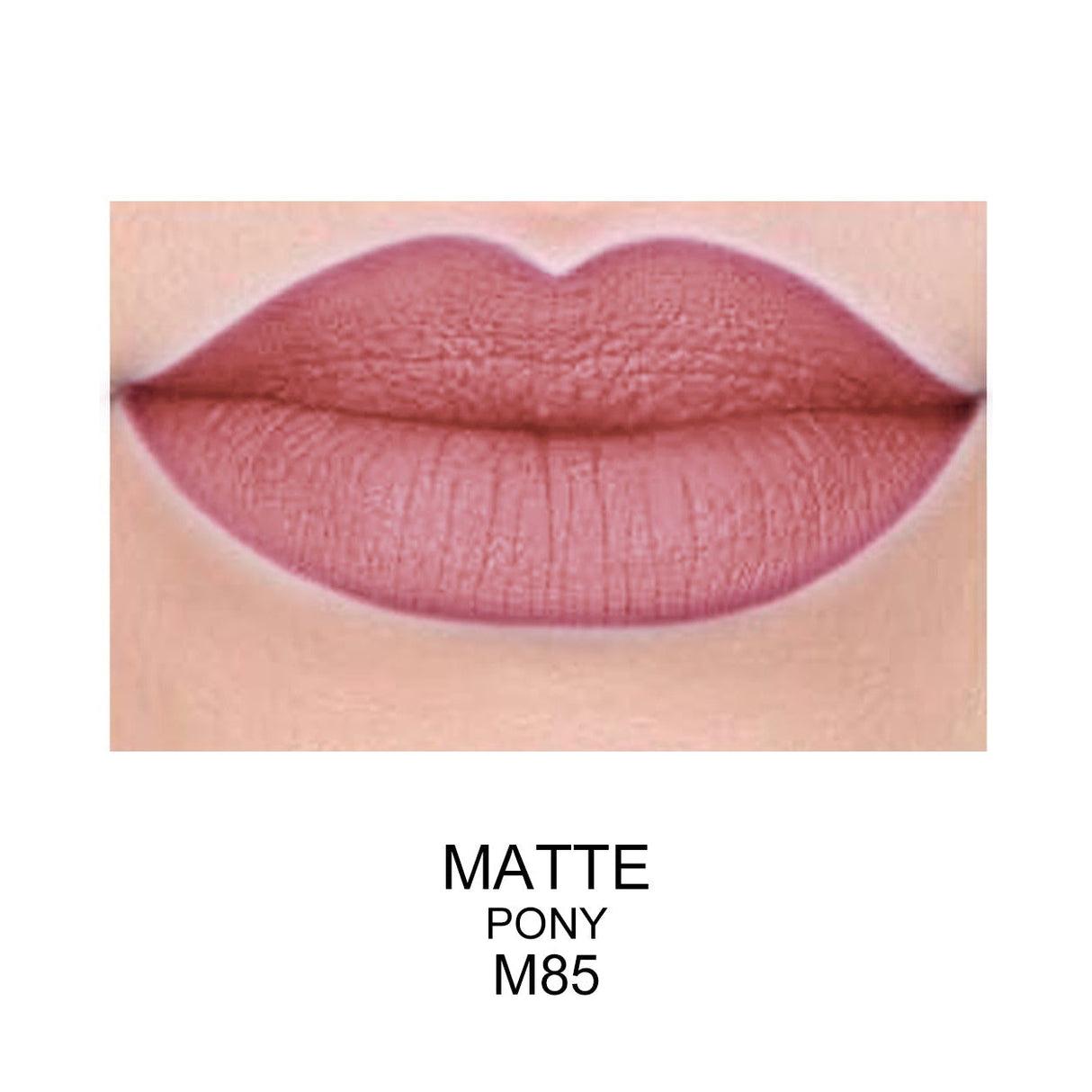 Best Matte Long Lasting Lip Gloss - Prolux From Prolux Cosmetics