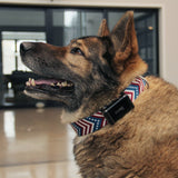 Cube GPS Pet Tracking Bundle from Cube Tracker