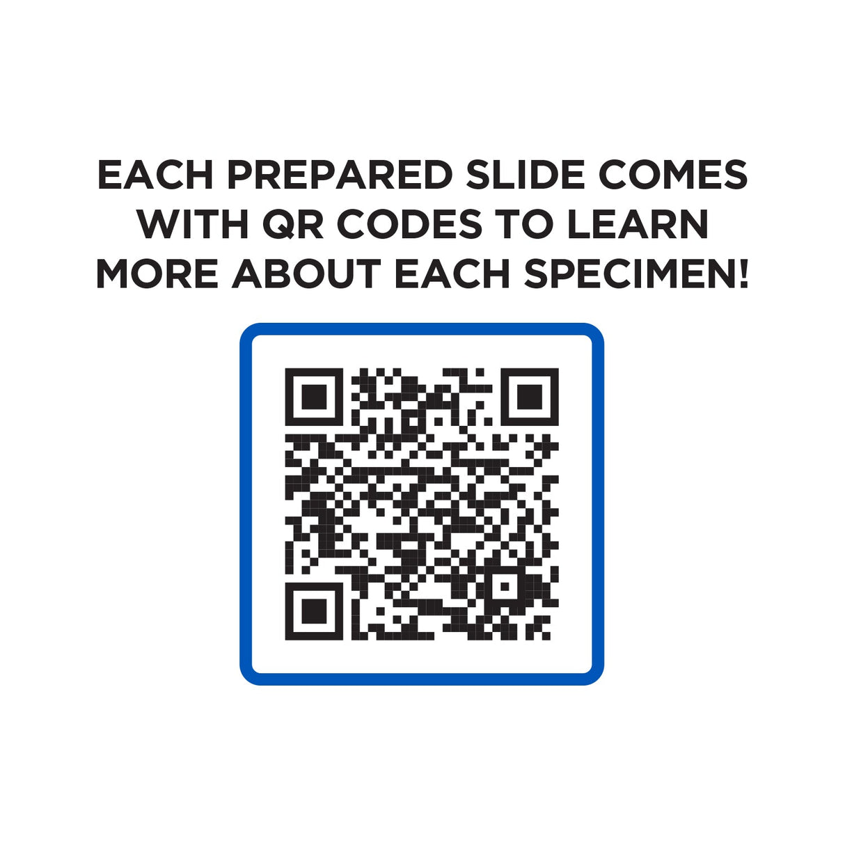Explore One 52 Piece Smart Slides Activity Set from Explore Scientific