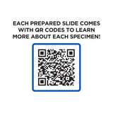 Explore One 52 Piece Smart Slides Activity Set from Explore Scientific