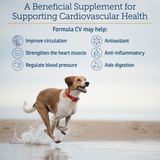 Rx Vitamins Formula CV For Dogs and Cats (90 caps) from HardyPaw