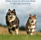 Rx Vitamins Formula CV For Dogs and Cats (90 caps) from HardyPaw
