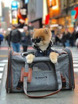 Mr. Peanut's Gold Series Standard Size Airline Compliant Expandable Pet Carrier from Mr. Peanut's Pet Carriers