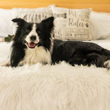 PupProtector™ Waterproof Throw Blanket - Polar White from Paw.com