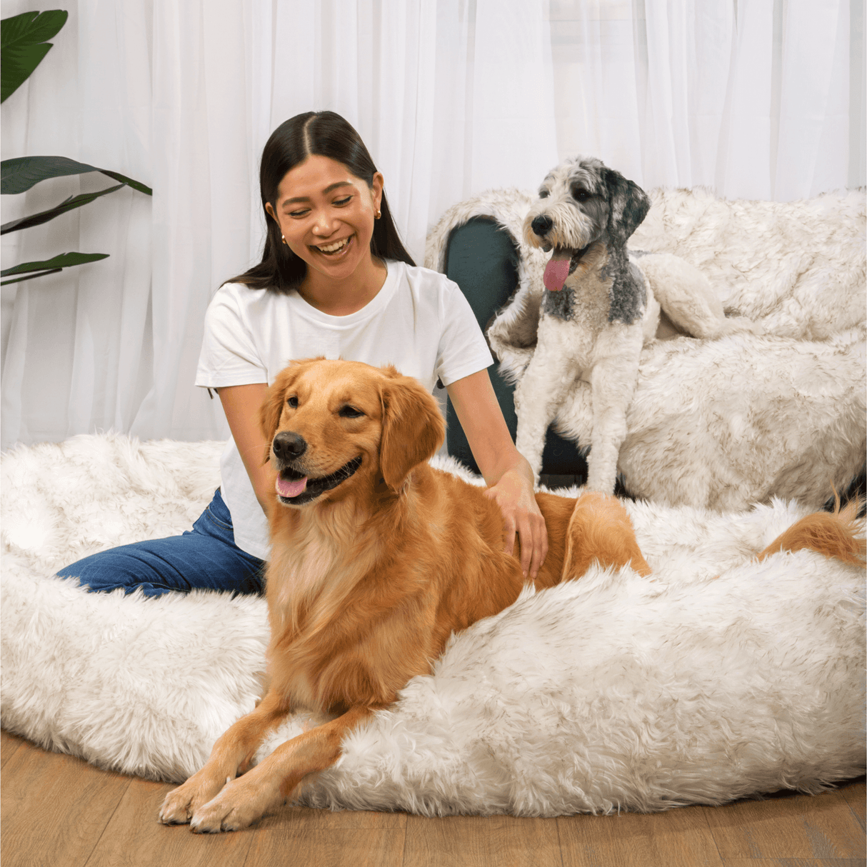 PupCloud™ Human-Size Dog Bed + Matching Waterproof Blanket Bundle - White with Brown Accents from Paw.com