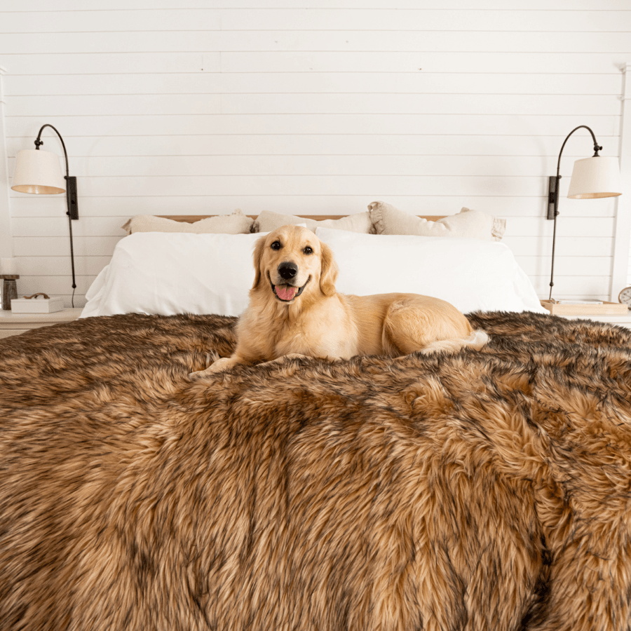 PupProtector™ Waterproof Throw Blanket - Sable Tan from Paw.com