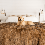 PupProtector™ Waterproof Throw Blanket - Sable Tan from Paw.com