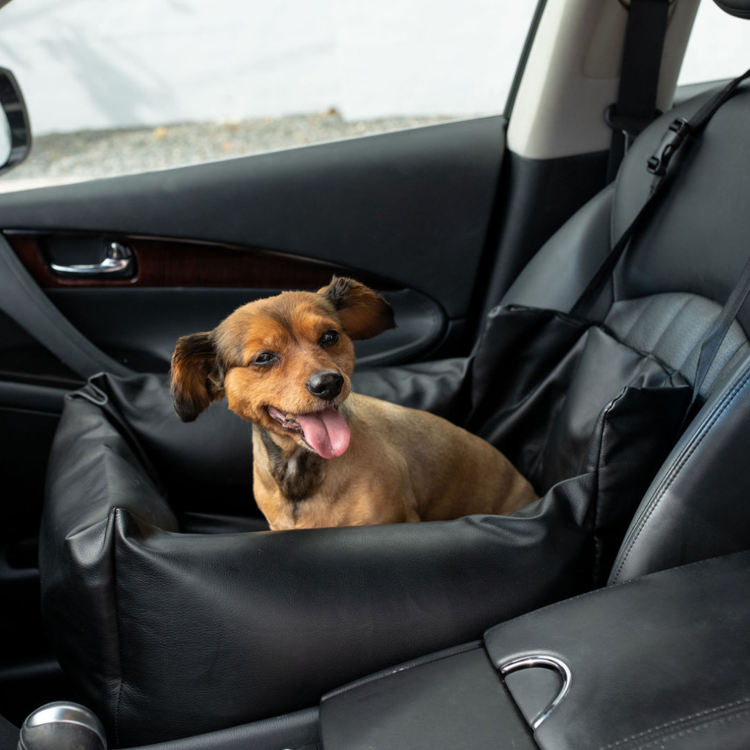 PupProtector™ Faux Leather Memory Foam Dog Car Bed -  Black From Paw.com