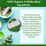 Nail Fungus Protocol Bundle from COLEHERBALS