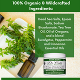 Skin Fungus Protocol Bundle from COLEHERBALS