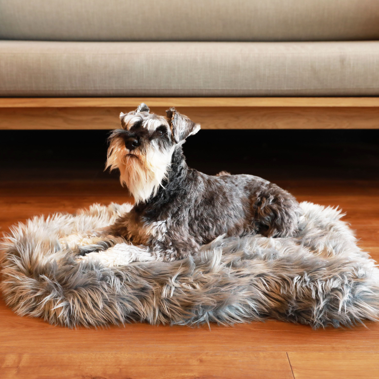 PupRug by Paw.com™ Faux Fur Orthopedic Dog Bed - Curve Charcoal Grey from Paw.com