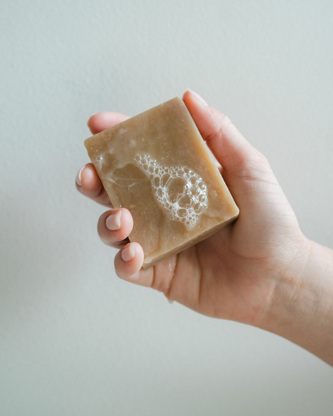 Nourishing Dog Shampoo Bar from Springer