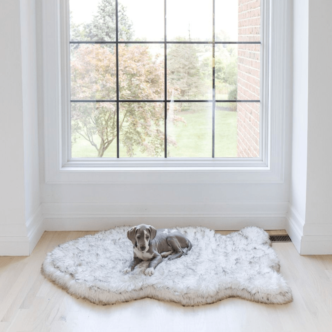 PupRug by Paw.com™ Faux Fur Orthopedic Dog Bed - Curve White with Brown Accents from Paw.com