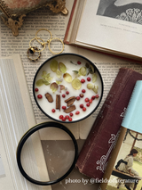 HARVEST Apple Spice Candle from Ash & Rose