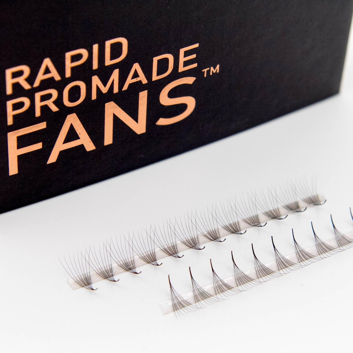 Rapid 8D Promade Fans® - 1000 Fans from Mega Lash Academy