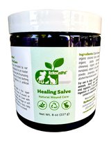 SKIN HEALTH / Healing Skin Salve from ReNewedPet