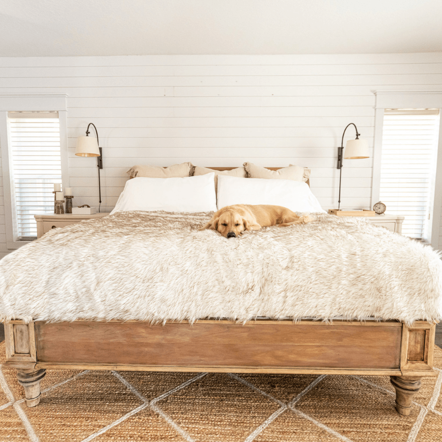 PupProtector™ Waterproof Throw Blanket - White with Brown Accents from Paw.com