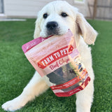 Beef Chips Dog Treats | Single-Ingredient Healthy Treats for Dogs from Farm To Pet