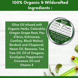 Skin Fungus Protocol Bundle from COLEHERBALS