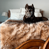 PupProtector™ Waterproof Throw Blanket - Sable Tan from Paw.com