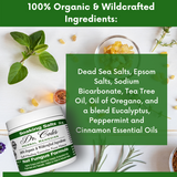 Nail Fungus Protocol Bundle from COLEHERBALS