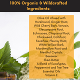 Cough Cold Congestion Balm Stick From Dr. Cole's Herbal Remedies