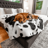 PupProtector™ Waterproof Throw Blanket - Black Faux Cowhide from Paw.com